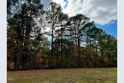 18 Alex Acres Way, Selma, NC 27576 - Photo 13