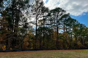 18 Alex Acres Way, Selma, NC 27576 - Photo 13