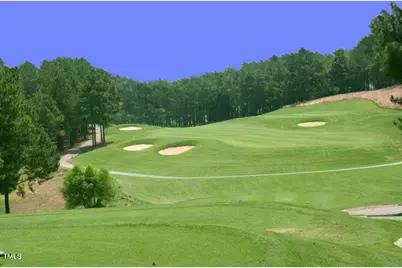 520 Hallburg Court, Wake Forest, NC 27587 - Photo 67