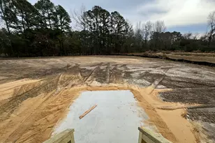 104 Grace Pond Ave, Benson, NC 27504 - Photo 17