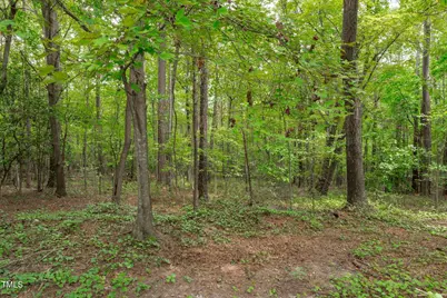 545 Deer Tail Lane, Fuquay Varina, NC 27526 - Photo 29