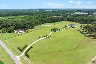 9820 Debnam Rd, Zebulon, NC 27597 - Photo 57