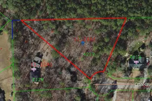 312 Russ Rd, Smithfield, NC 27577 - Photo 55