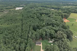 718 Winston Rd, Clayton, NC 27520 - Photo 43