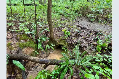 3901 Old Nc 86, Hillsborough, NC 27278 - Photo 7