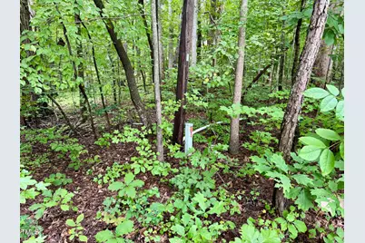 3901 Old Nc 86, Hillsborough, NC 27278 - Photo 5