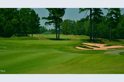 1109 Prominence Dr, Durham, NC 27712 - Photo 23