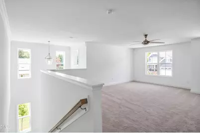 1109 Prominence Dr, Durham, NC 27712 - Photo 19