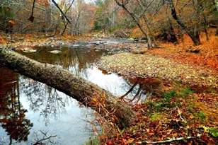 1109 Prominence Dr, Durham, NC 27712 - Photo 25
