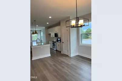 169 Shakespeare Drive, Morrisville, NC 27560 - Photo 19