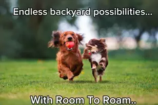 236 White Azalea Wy, Benson, NC 27504 - Photo 15