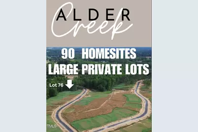 236 White Azalea Way, Benson, NC 27504 - Photo 11