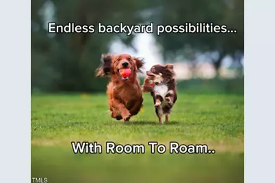 272 White Azalea Way, Benson, NC 27504 - Photo 21