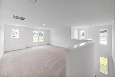 272 White Azalea Way, Benson, NC 27504 - Photo 11