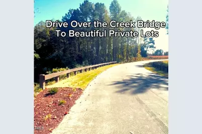 272 White Azalea Way, Benson, NC 27504 - Photo 21