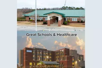 294 White Azalea Way, Benson, NC 27504 - Photo 33