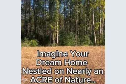 294 White Azalea Way, Benson, NC 27504 - Photo 25