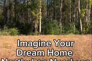 294 White Azalea Wy, Benson, NC 27504 - Photo 25