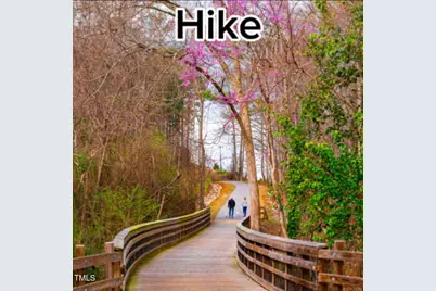 294 White Azalea Way, Benson, NC 27504 - Photo 27