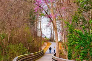 294 White Azalea Wy, Benson, NC 27504 - Photo 27