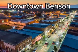 294 White Azalea Wy, Benson, NC 27504 - Photo 31