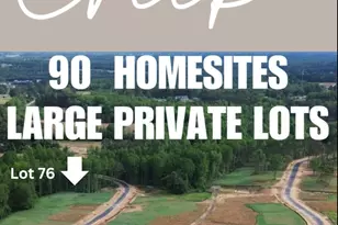 69 White Azalea Wy, Benson, NC 27504 - Photo 11