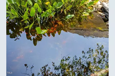 344 Singing Hills Drive, Pittsboro, NC 27312 - Photo 45