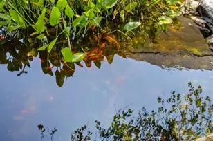 344 Singing Hills Dr, Pittsboro, NC 27312 - Photo 45