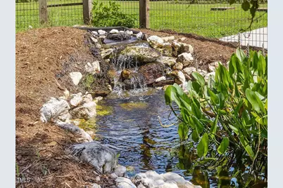 344 Singing Hills Drive, Pittsboro, NC 27312 - Photo 43