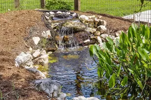 344 Singing Hills Dr, Pittsboro, NC 27312 - Photo 43