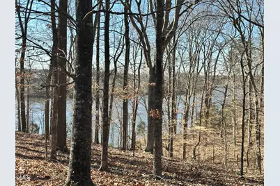 1002 Pleasant Drive, Mebane, NC 27302 - Photo 59