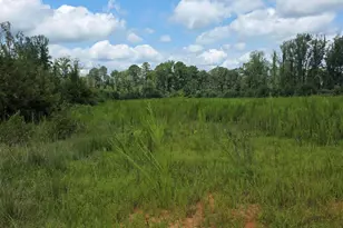 0 Dukes Lake Rd, Zebulon, NC 27597 - Photo 1