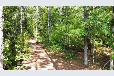 0 Richardson Road, Warrenton, NC 27589 - Photo 3