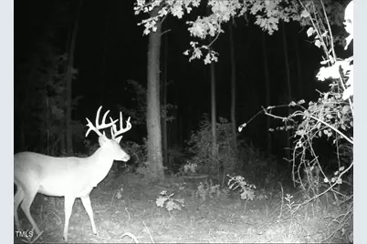 0 Richardson Road, Warrenton, NC 27589 - Photo 19