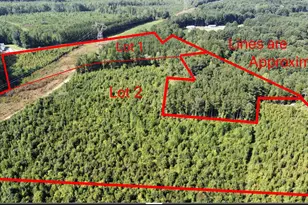 0 Richardson Rd, Warrenton, NC 27589 - Photo 1
