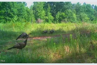 0 Richardson Road, Warrenton, NC 27589 - Photo 21