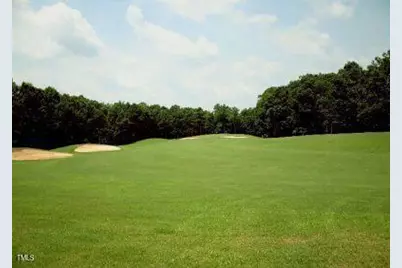 118 Rustler Road, Louisburg, NC 27549 - Photo 5