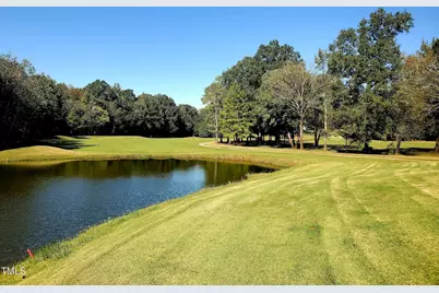 118 Rustler Road, Louisburg, NC 27549 - Photo 3