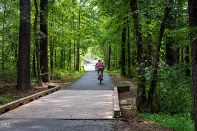 1110 Palisade Bluff Lane, Apex, NC 27502 - Photo 31