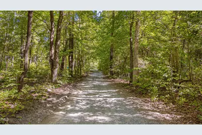 0 Goathouse Road, Pittsboro, NC 27312 - Photo 3