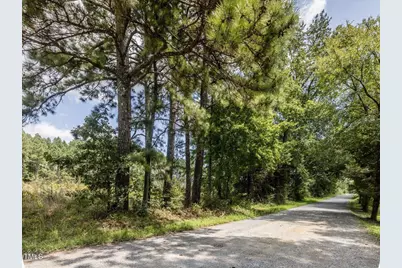 Tract B Chicken Bridge Road, Pittsboro, NC 27312 - Photo 13