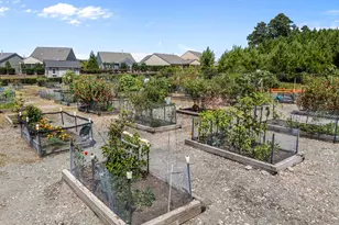 2212 Bloomsbury Manor Dr, Durham, NC 27703 - Photo 49