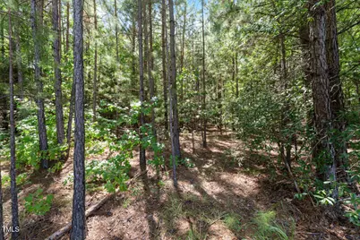 4106 Wilson Town Road, Oxford, NC 27565 - Photo 1