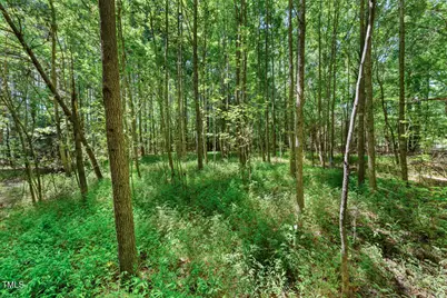 4110 Wilson Town Road, Oxford, NC 27565 - Photo 1