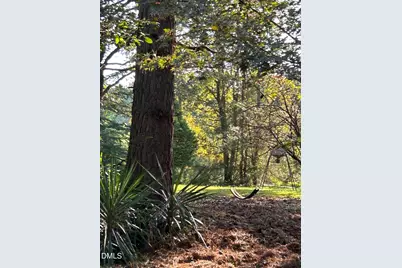 153 Ninovan Place, Rougemont, NC 27572 - Photo 9