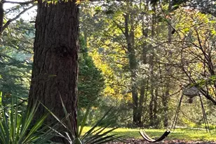 153 Ninovan Pl, Rougemont, NC 27572 - Photo 9