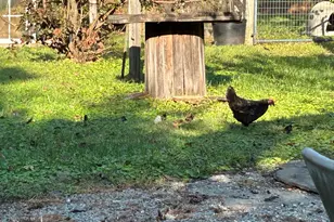 153 Ninovan Pl, Rougemont, NC 27572 - Photo 17