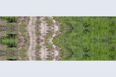 0 Nc Highway 33, Tarboro, NC 27886 - Photo 31