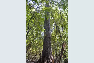 0 Nc Highway 33, Tarboro, NC 27886 - Photo 69