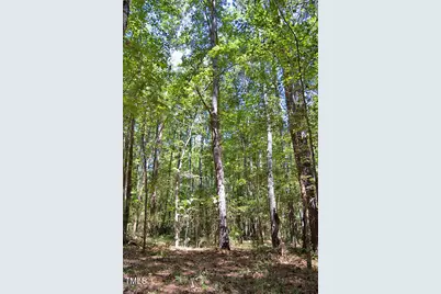 0 Nc Highway 33, Tarboro, NC 27886 - Photo 61